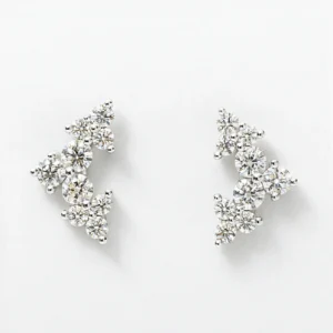 Sparkle Earrings